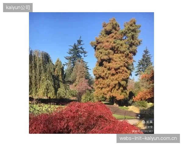 若在温哥华作赛，海地队需适应人工草坪特性，传控节奏面临全新挑战。